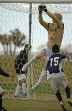 Albion SC goalkeeper Colin Webb in action. Photo Credit: Albion SC