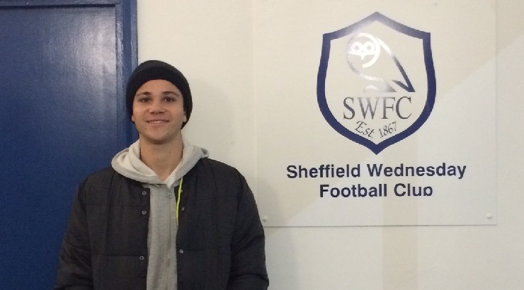 Joe DiCarlo, Sheffield Wednesday FC