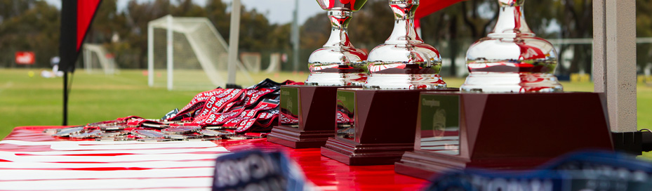 Youth soccer news - Albion cup national showcase trophy