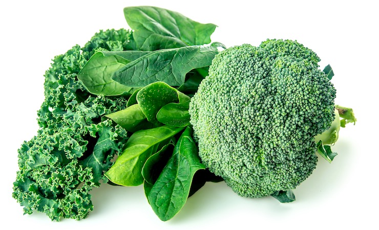 Youth Soccer News: Healthy greens with broccoli, spinach and kale