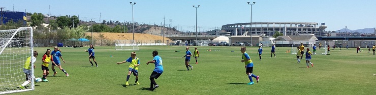 Brazilian Futebol Academy BFA