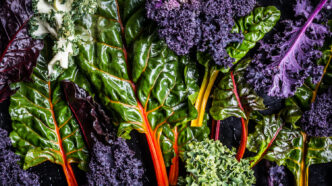 Guide For Detoxing For Soccer Players & Coaches With Menu Recommendations