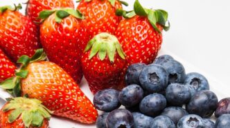 The Impact of Nutrition and Recovery for Youth and Adult Soccer Players